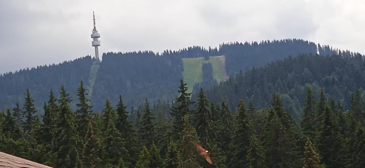 Спа,Ски Апартамент Дайли, Стрийм Ризорт Пампорово Bagian luar foto